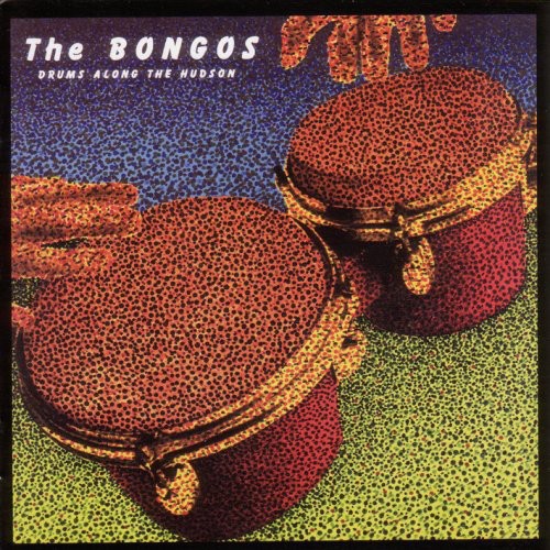 Bongos: Drums Along the Hudson