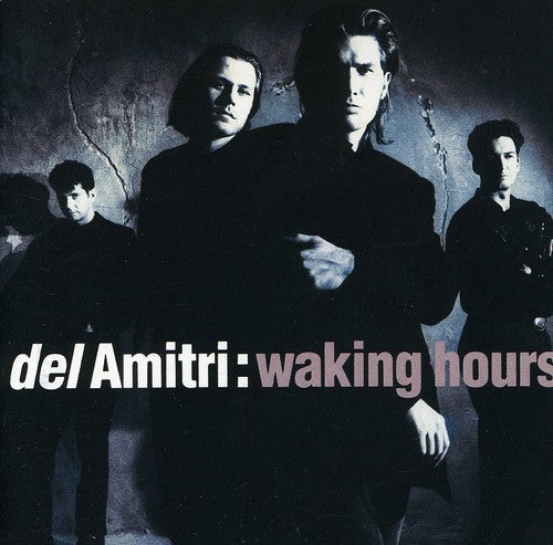 Del Amitri: Waking Hours