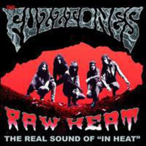 Fuzztones: Raw Heat the in Heat Demos