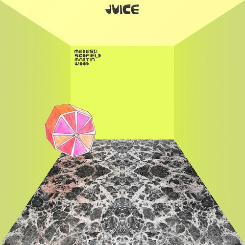 Medeski Scofield Martin & Wood: Juice