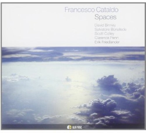 Cataldo, Francesco: Spaces