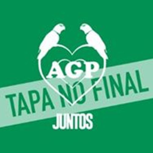 Agapornis: Juntos