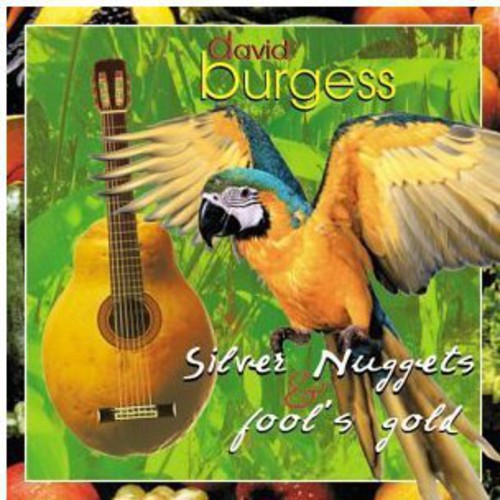 Burgess, David: Silver Nuggets & Fool's Gold