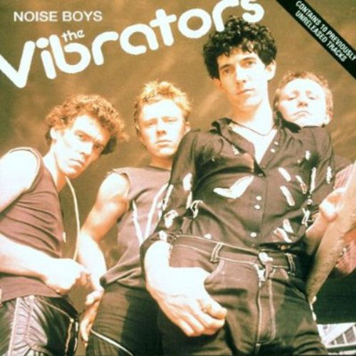 Vibrators: Noise Boys