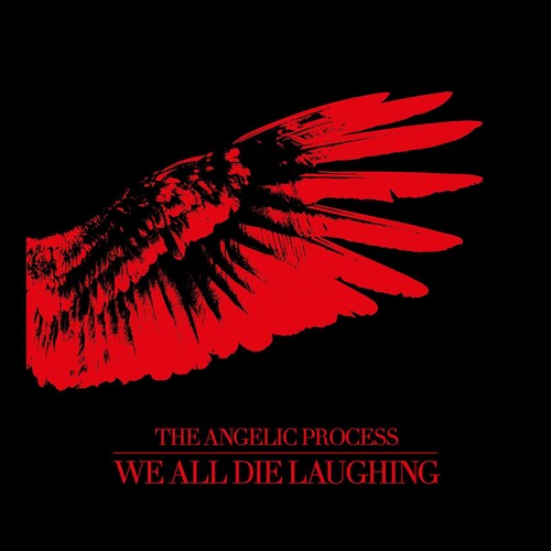 Angelic Process: We All Die Laughing Box Set