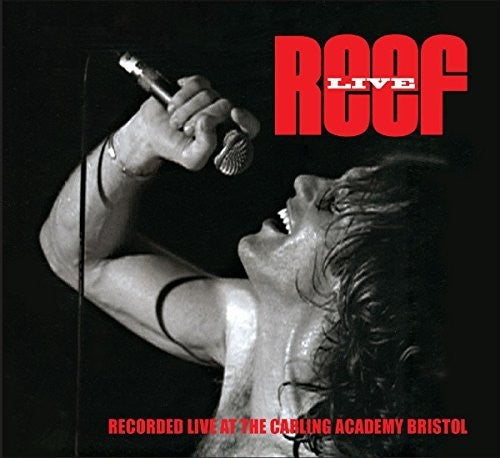 Reef: Live At The Carling Academy Bristol