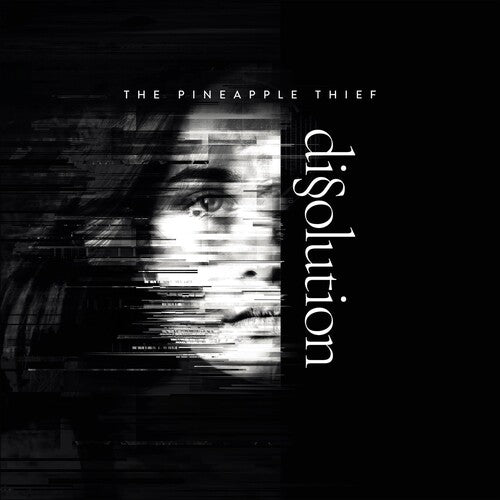 Pineapple Thief: Dissoultion