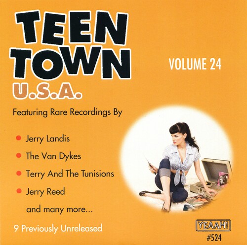 Teen Town Usa 24 / Various: Teen Town USA 24