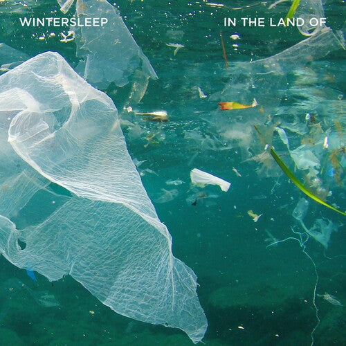 Wintersleep: In The Land Of