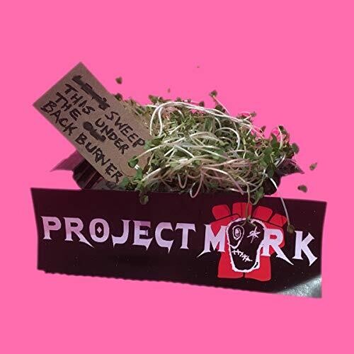 Project Mork: Sweep This Under The Backburner