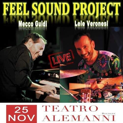 Guidi, Mecco / Veronesi, Lele / Feel Sound Project: Teatro Alemanni 25 Novembre 2016