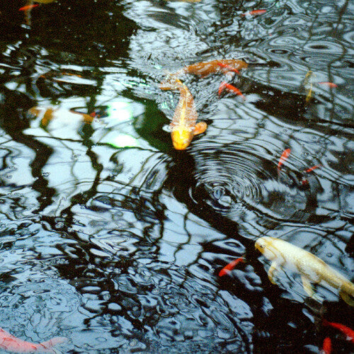 Letkiewicz, Jason: Reflecting Pool