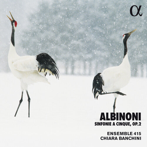 Albinoni / Banchini / Ensemble 415: Sinfonie a Cinque 2