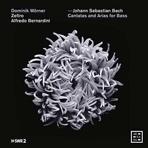 Bach, J.S. / Bernardini / Worner: Cantatas & Arias for Bass