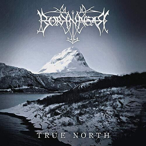 Borknagar: Borknagar - True North (Ltd. CD Digipak)