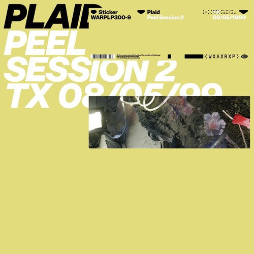 Plaid: Peel Session 2