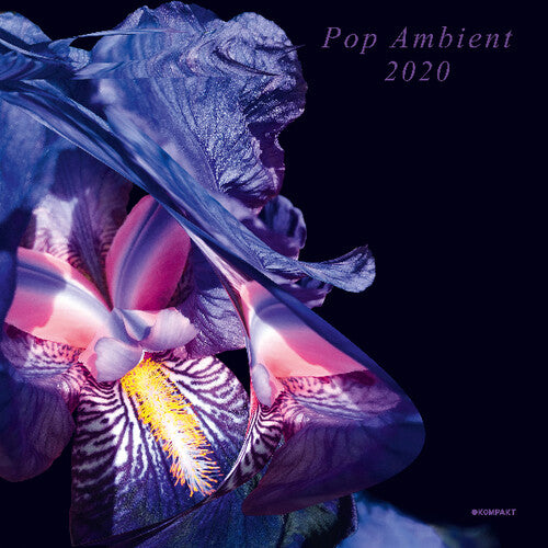 Pop Ambient 2020 / Various: Pop Ambient 2020 (Various Artists)