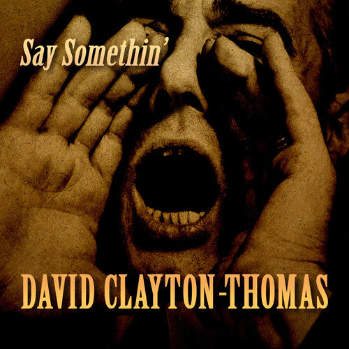 Clayton-Thomas, David: Say Somethin'
