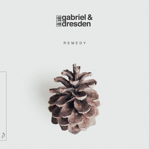 Gabriel & Dresden: Remedy