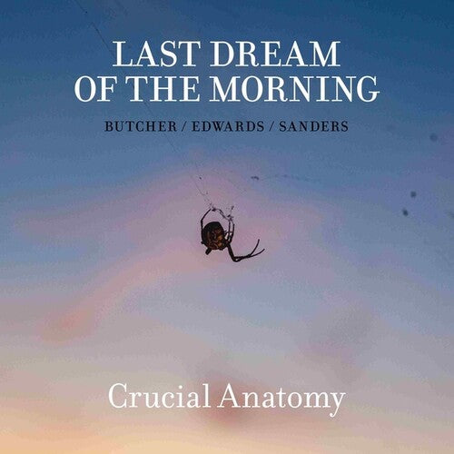 Last Dream of the Morning: Crucial Anatomy