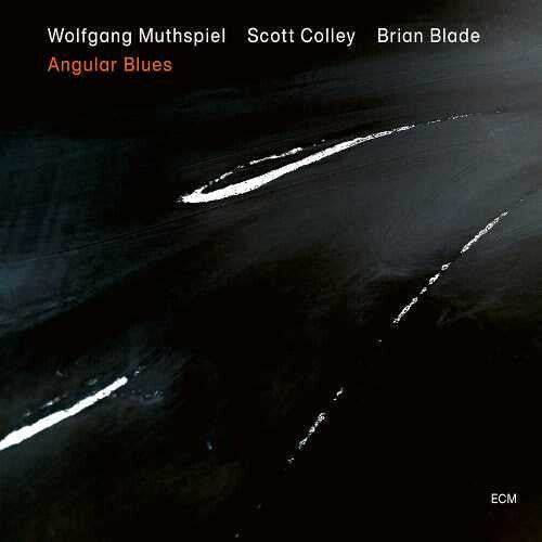 Muthspiel, Wolfgang / Colley, Scott / Blade, Brian: Angular Blues