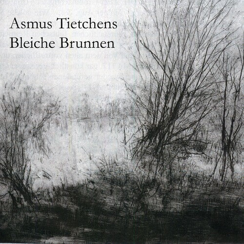 Asmus Tietchens: Bleiche Brunnen