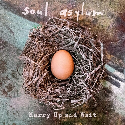 Soul Asylum: Hurry Up & Wait