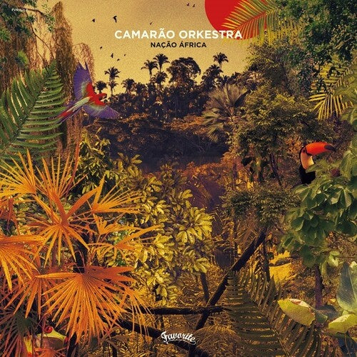 Camarao Orkestra: Nacao Africa