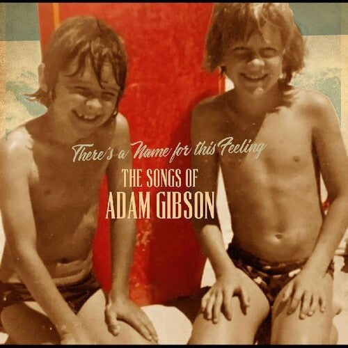 Gibson, Adam: Songs Of Adam Gibson