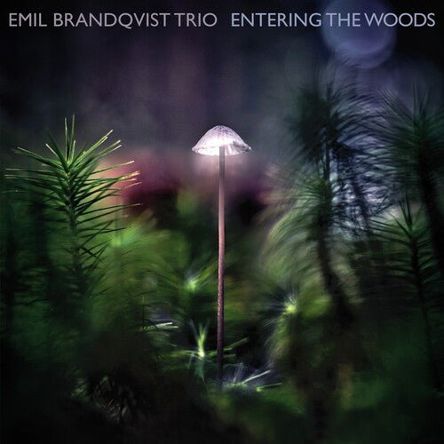 Brandqvist, Emil: Entering The Woods