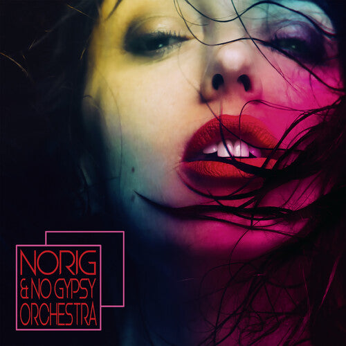 Norig & No Gypsy Orchestra / Various: Norig & No Gypsy Orchestra