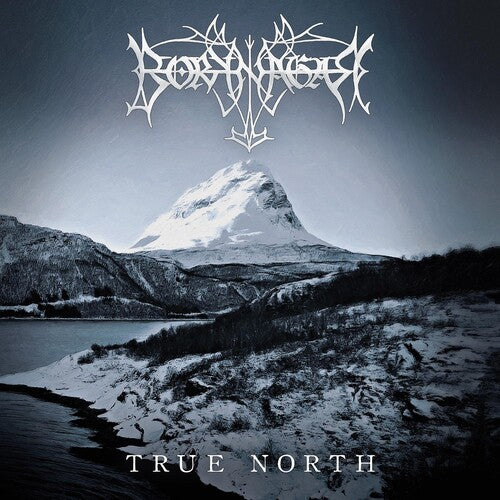 Borknagar: True North