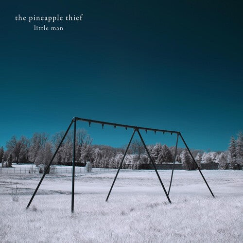 Pineapple Thief: Little Man