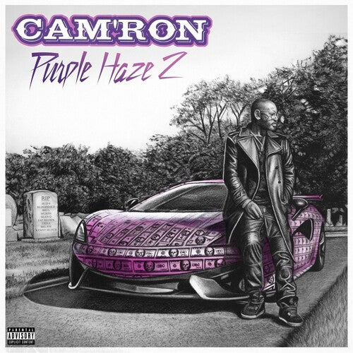 Cam'ron: Purple Haze 2