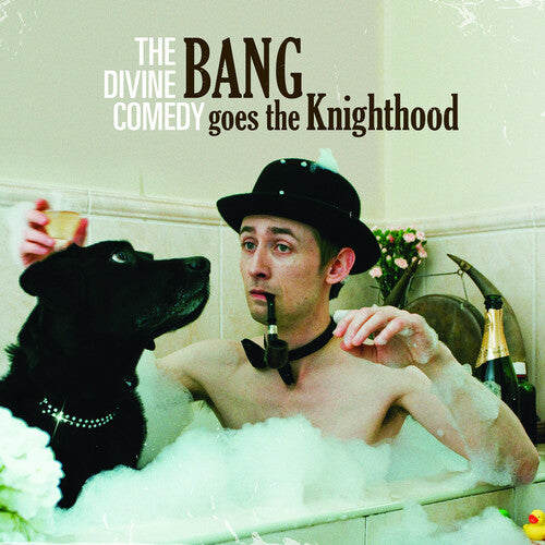Divine Comedy: Bang Goes The Knighthood