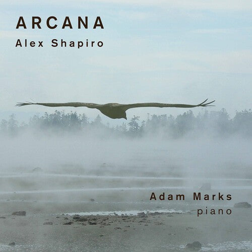 Shapiro / Marks: Arcana