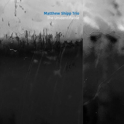 Shipp, Matthew: The Unidentifiable