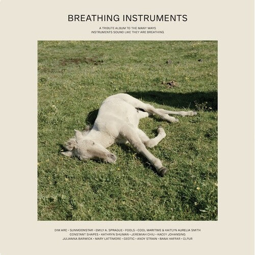 Breathing Instruments / Various: Breathing Instruments (Various Artists)