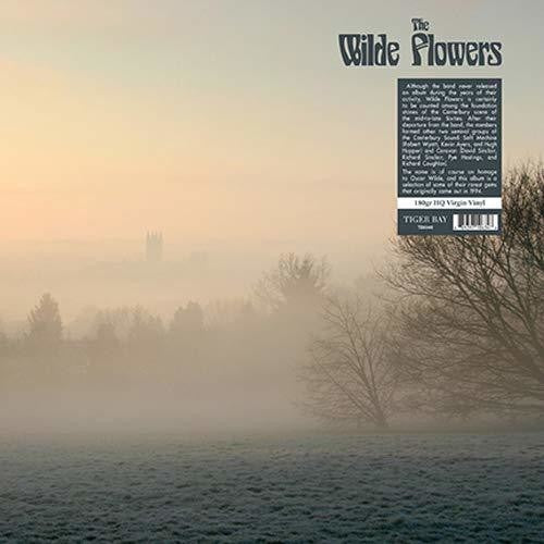 Wilde Flowers: The Wilde Flowers