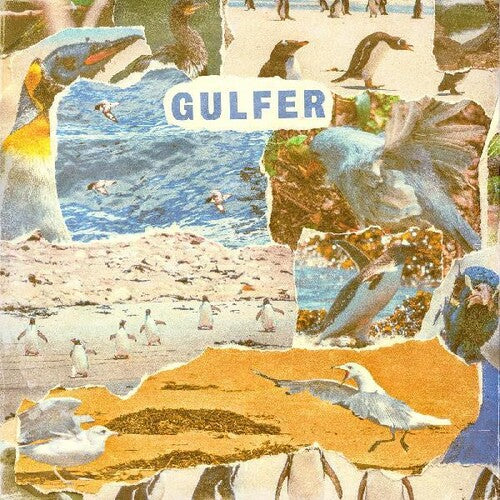 Gulfer: Gulfer