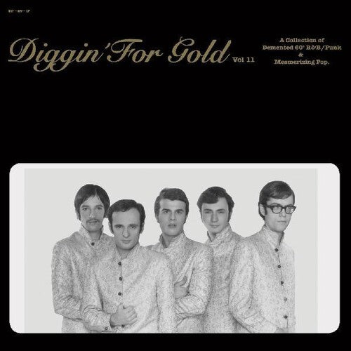 Diggin for Gold Vol 11 / Var: Diggin For Gold Vol. 11