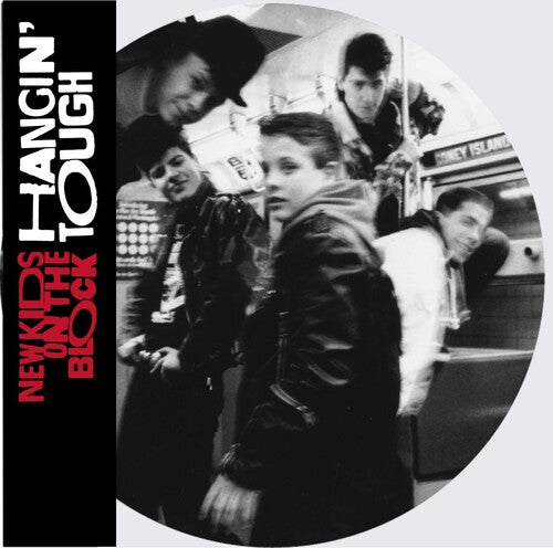 New Kids on the Block / Nkotb: Hangin' Tough (Ltd Picture Disc)