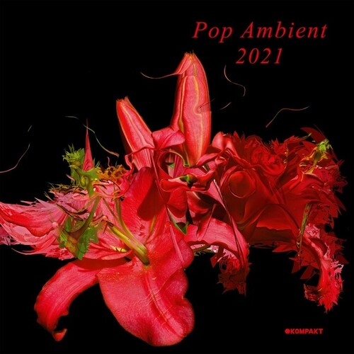 Pop Ambient 2021 / Various: Pop Ambient 2021 (Various Artists)