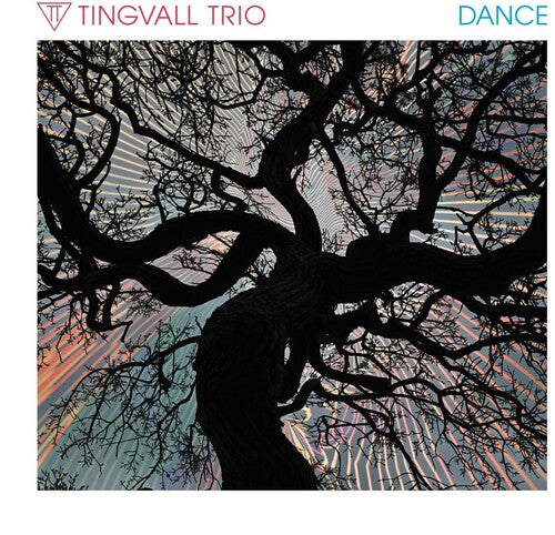 Tingvall Trio: Dance