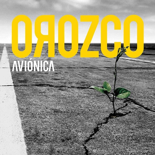 Orozco, Antonio: Avionica
