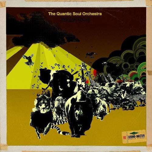 Quantic Soul Orchestra: Stampede