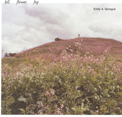 Sprague, Emily a: Hill, Flower, Fog