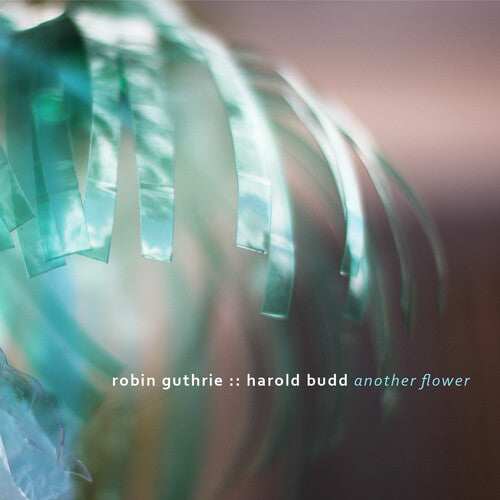 Guthrie, Robin / Budd, Harold: Another Flower