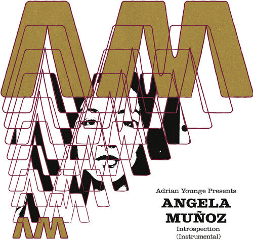 Munoz, Angela: Introspection (Instrumentals)