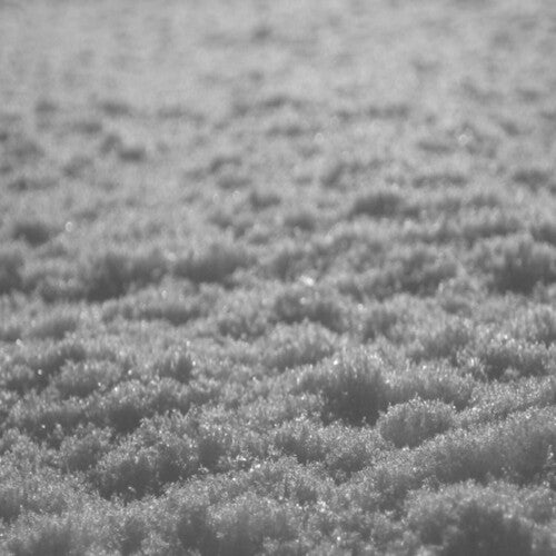 Paysage D'Hiver: Schnee